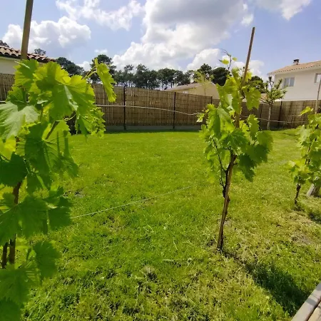 C La Belle Vie Pessac