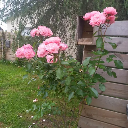 C La Belle Vie Pessac