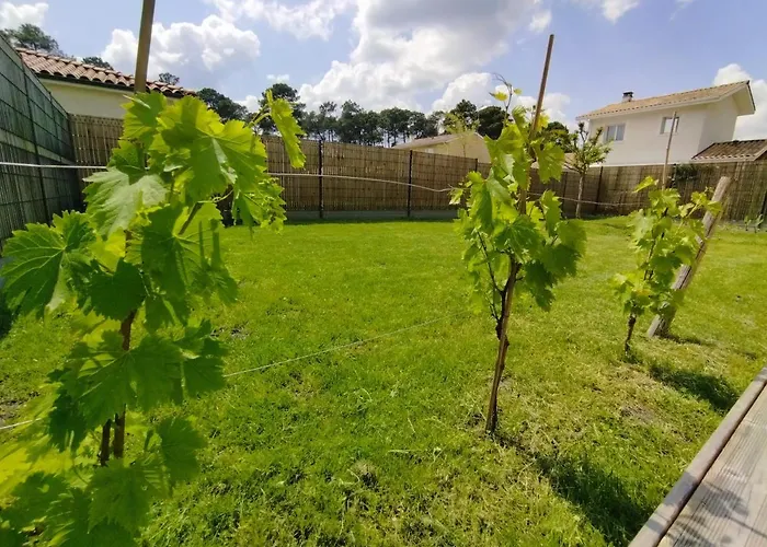 C La Belle Vie Pessac