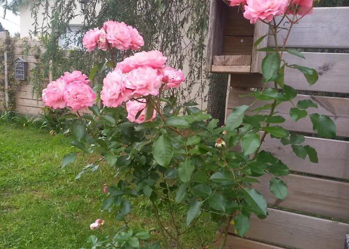 C La Belle Vie Pessac