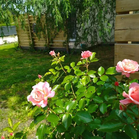 C La Belle Vie Guest house *